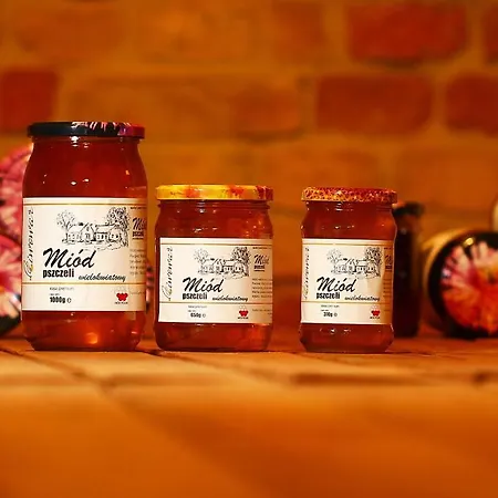 Miodosytnia Värdshus